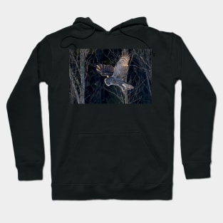 Great Grey Owl Hoodie